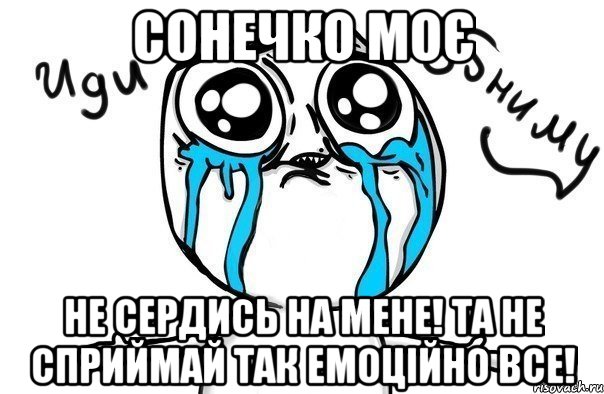 Сонечко моє Не сердись на мене! та не сприймай так емоційно все!, Мем Иди обниму