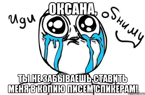 ОКСАНА, ТЫ НЕ ЗАБЫВАЕШЬ СТАВИТЬ МЕНЯ В КОПИЮ ПИСЕМ СПИКЕРАМ!, Мем Иди обниму