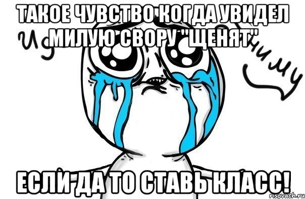 Такое чувство когда увидел милую свору "щенят" Если да то ставь класс!, Мем Иди обниму