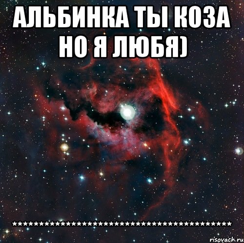 альбинка ты коза но я любя) *****************************************