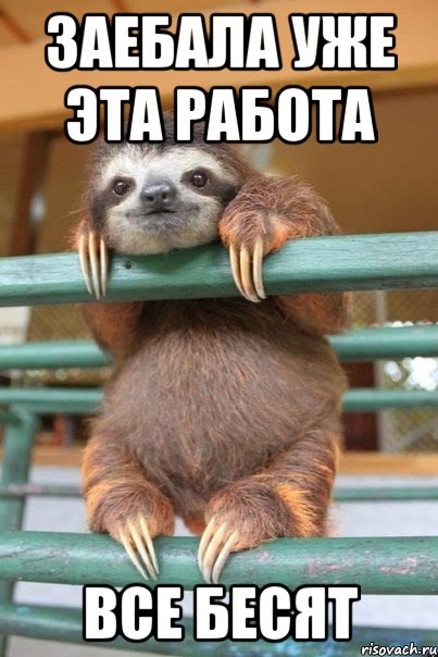 заебала уже эта работа все бесят