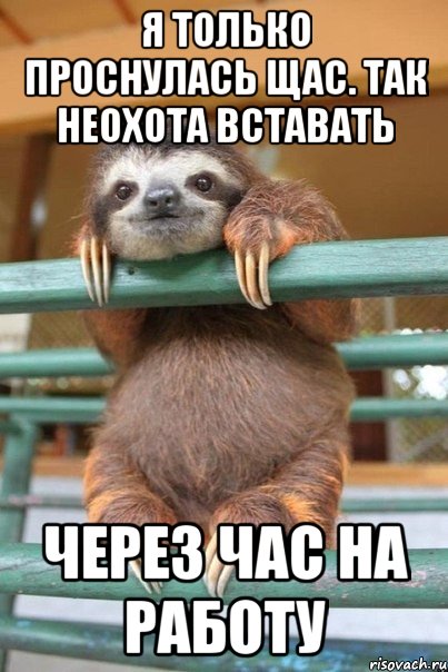 я только проснулась щас. так неохота вставать через час на работу