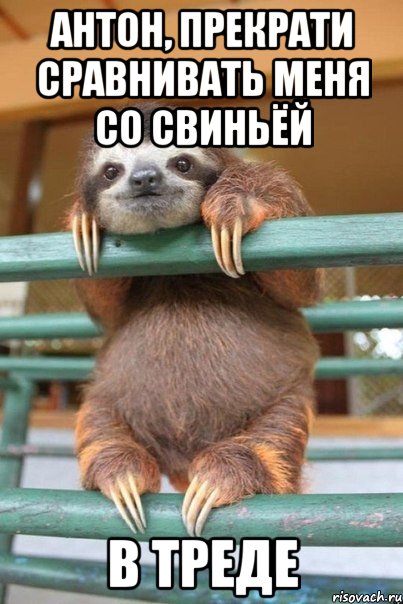 Антон, прекрати сравнивать меня со свиньёй в треде