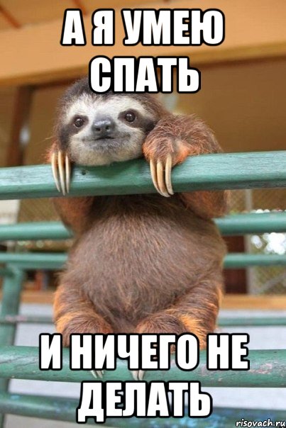 А я умею спать И ничего не делать