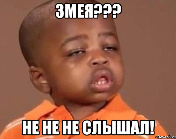 ЗМЕЯ??? НЕ НЕ НЕ СЛЫШАЛ!, Мем  Какой пацан (негритенок)