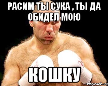 Расим ты сука , ты да обидел мою Кошку, Мем каменная голова