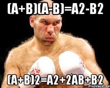 (a+b)(a-b)=a2-b2 (a+b)2=a2+2ab+b2, Мем каменная голова