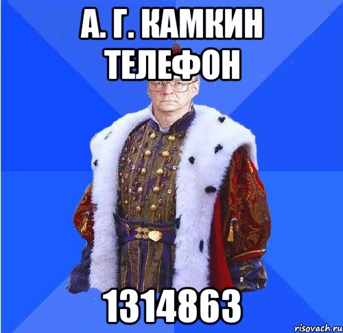 А. Г. Камкин телефон 1314863, Мем Камкин