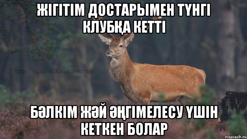 жігітім достарымен түнгі клубқа кетті бәлкім жәй әңгімелесу үшін кеткен болар