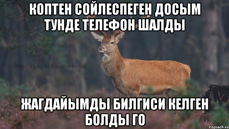 Коптен сойлеспеген досым тунде телефон шалды Жагдайымды билгиси келген болды го