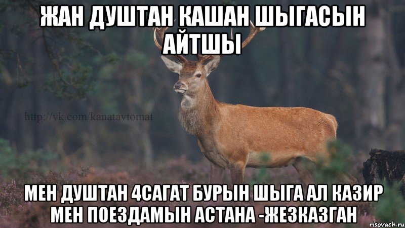 Жан душтан кашан шыгасын айтшы Мен душтан 4сагат бурын шыга ал казир мен поездамын Астана -Жезказган