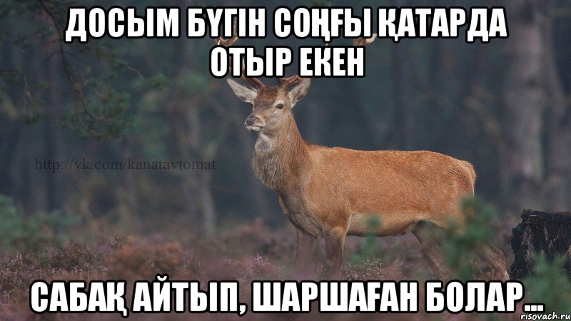 Досым бүгін соңғы қатарда отыр екен Сабақ айтып, шаршаған болар...