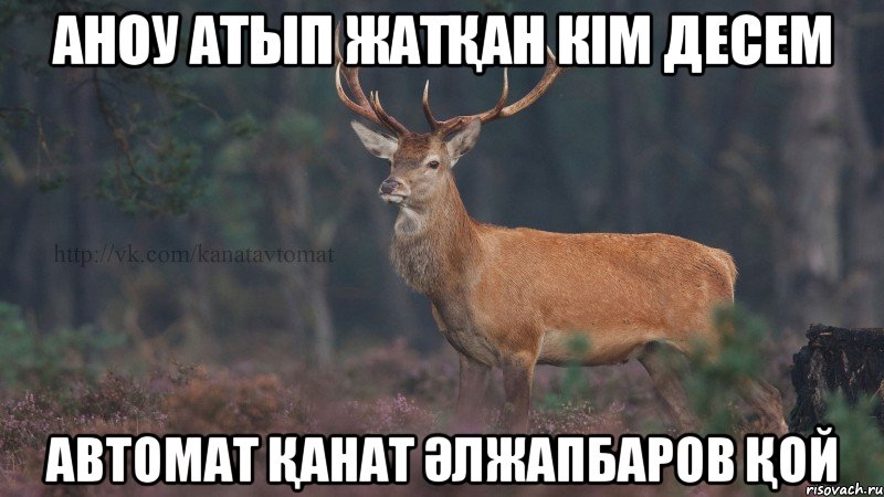 Аноу атып жатқан кiм десем Автомат Қанат Әлжапбаров қой