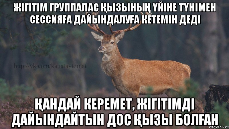 жігітім группалас қызының үйіне түнімен сессияға дайындалуға кетемін деді қандай керемет, жігітімді дайындайтын дос қызы болған