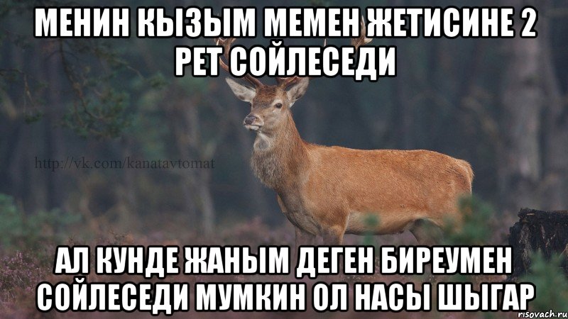 Менин кызым мемен жетисине 2 рет сойлеседи Ал кунде жаным деген биреумен сойлеседи мумкин ол насы шыгар