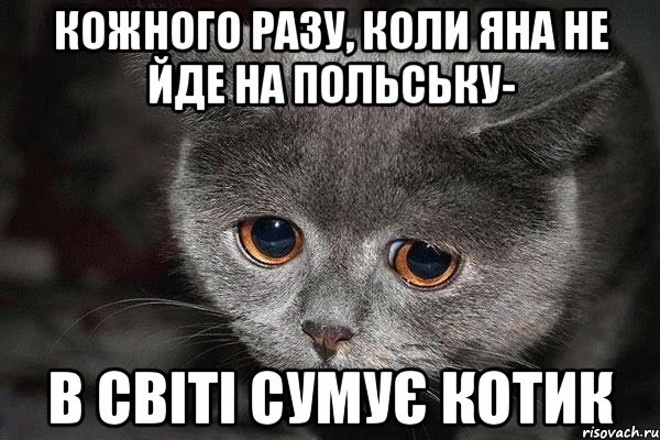 Кожного разу, коли Яна не йде на польську- в світі сумує котик