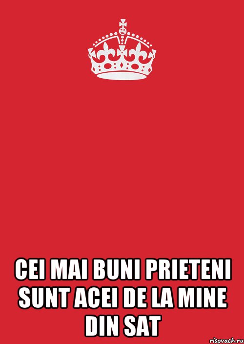  cEI MAI BUNI PRIETENI SUNT ACEI DE LA MINE DIN SAT, Комикс Keep Calm 3