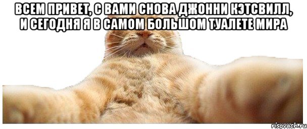 Всем привет, с вами снова Джонни Кэтсвилл, и сегодня я в самом большом туалете мира , Мем   Кэтсвилл