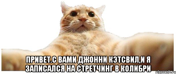  привет.с вами джонни кэтсвил,и я записался на стретчинг в Колибри, Мем   Кэтсвилл