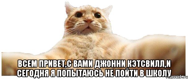  Всем привет,с вами Джонни Кэтсвилл,и сегодня я попытаюсь не пойти в школу, Мем   Кэтсвилл