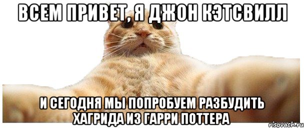 Всем привет, я джон кэтсвилл И сегодня мы попробуем разбудить Хагрида из Гарри Поттера, Мем   Кэтсвилл