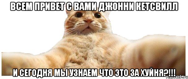 ВСЕМ ПРИВЕТ С ВАМИ ДЖОННИ КЕТСВИЛЛ И СЕГОДНЯ МЫ УЗНАЕМ ЧТО ЭТО ЗА ХУЙНЯ?!!!, Мем   Кэтсвилл