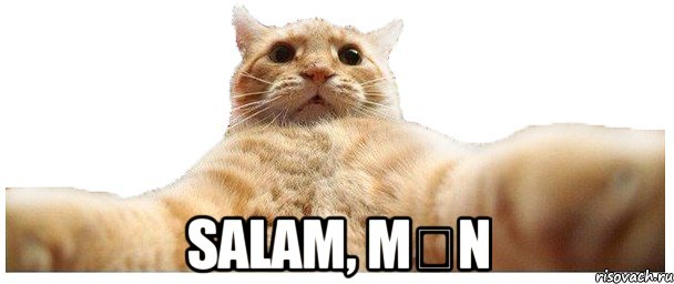  salam, mən