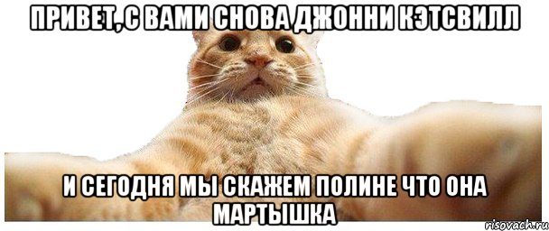 Привет, с вами снова джонни кэтсвилл И сегодня мы скажем Полине что она мартышка, Мем   Кэтсвилл