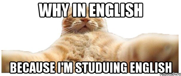 why in english because I'm studuing English, Мем   Кэтсвилл
