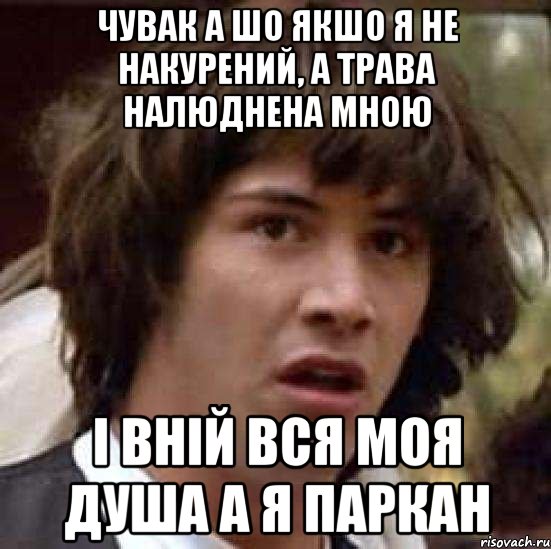 чувак а шо якшо я не накурений, а трава налюднена мною і вній вся моя душа а я паркан, Мем А что если (Киану Ривз)