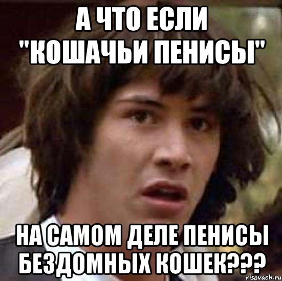 А что если "кошачьи пенисы" на самом деле пенисы бездомных кошек???, Мем А что если (Киану Ривз)