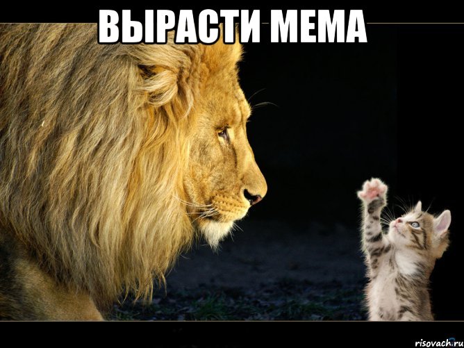 вырасти мема , Мем Когда я вырасту