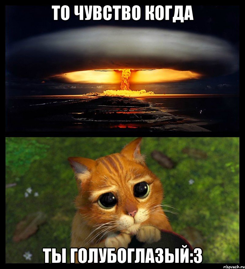 То чувство когда ты голубоглазый:3, Мем коллаж