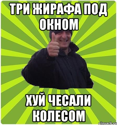 ТРИ ЖИРАФА ПОД ОКНОМ ХУЙ ЧЕСАЛИ КОЛЕСОМ