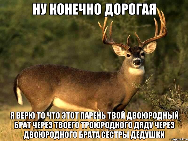 НУ КОНЕЧНО ДОРОГАЯ Я ВЕРЮ ТО ЧТО ЭТОТ ПАРЕНЬ ТВОЙ ДВОЮРОДНЫЙ БРАТ ЧЕРЕЗ ТВОЕГО ТРОЮРОДНОГО ДЯДУ ЧЕРЕЗ ДВОЮРОДНОГО БРАТА СЕСТРЫ ДЕДУШКИ, Мем Конечно дорогая я не против
