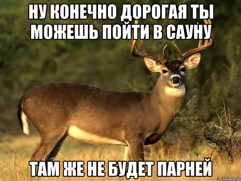 НУ КОНЕЧНО ДОРОГАЯ ТЫ МОЖЕШЬ ПОЙТИ В САУНУ ТАМ ЖЕ НЕ БУДЕТ ПАРНЕЙ, Мем Конечно дорогая я не против