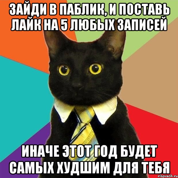 Зайди в паблик, и поставь лайк на 5 любых записей Иначе этот год будет самых худшим для тебя, Мем  Кошечка