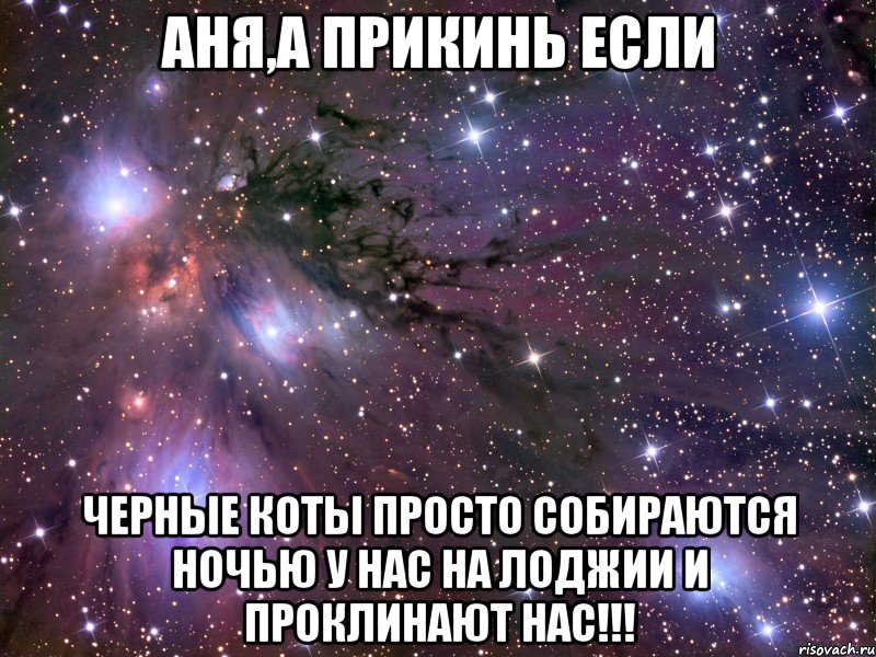 Аня,а прикинь если черные коты просто собираются ночью у нас на лоджии и проклинают нас!!!