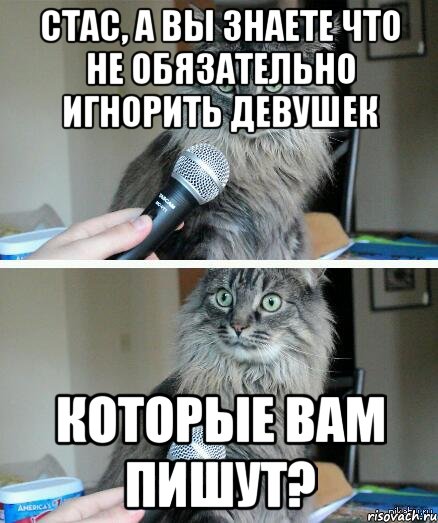 Стас, а вы знаете что не обязательно игнорить девушек которые вам пишут?, Комикс  кот с микрофоном