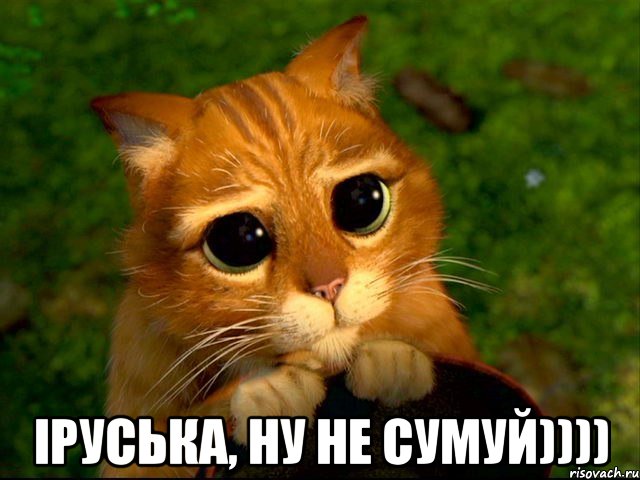  Іруська, ну не сумуй)))), Мем кот из шрека