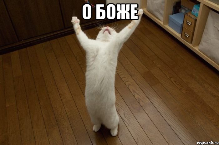 О БОЖЕ 