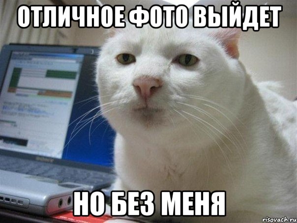 Отличное фото выйдет Но без меня