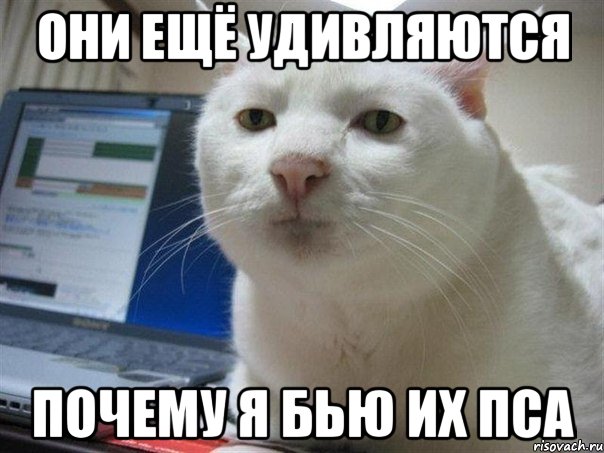 Они ещё удивляются почему я бью их пса