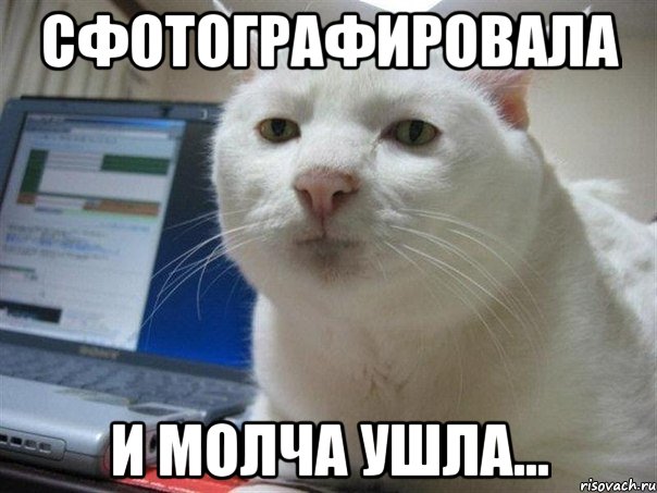 Сфотографировала И молча ушла...