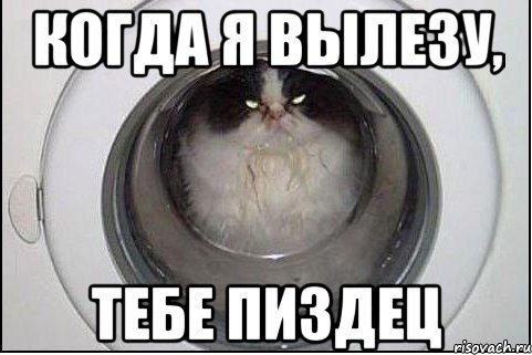 когда я вылезу, тебе пиздец, Мем кот