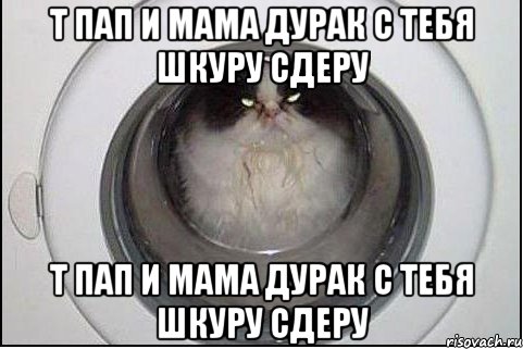 т пап и мама дурак с тебя шкуру сдеру т пап и мама дурак с тебя шкуру сдеру, Мем кот
