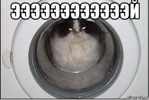 ээээээээээээй , Мем кот