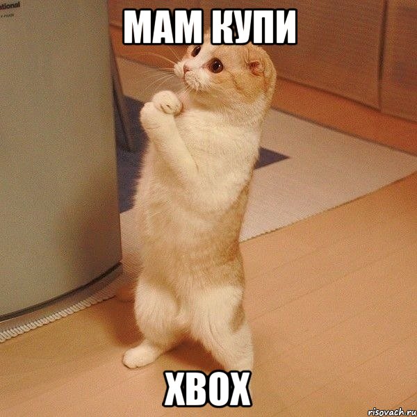 МАМ КУПИ XBOX, Мем  котэ молится