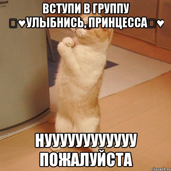 вступи в группу ツ♥Улыбнись, принцессаツ♥ нуууууууууууу пожалуйста, Мем  котэ молится