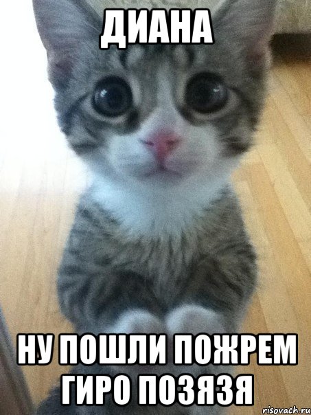 Диана ну пошли пожрем гиро позязя